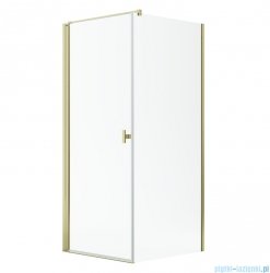 Radaway Nes Kdj I Gold kabina 100x90cm lewa złoty połysk 10022100-09-01L/10039090-01-01