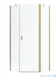 Radaway Nes Gold Ptj kabina pięciokątna 100x100cm prawa złoty połysk 10052000-09-01R/10052100-09-01