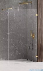 New Trendy Avexa Gold Shine kabina Walk-In 80x200 cm przejrzyste EXK-1709