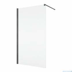 Ronal ANNEA ANT1 Gunmetal Szczotkowany Ścianka wolnostojąca Walk-in 75x200 cm z profilem przyściennym grafit szczotkowany ANT107502607