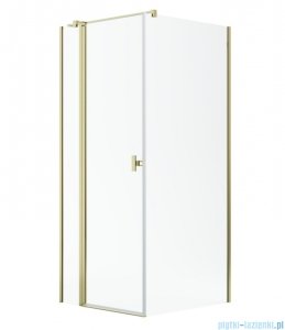 Radaway Nes Kdj II Gold kabina 100x80cm lewa złoty połysk 10032100-09-01L/10039080-01-01