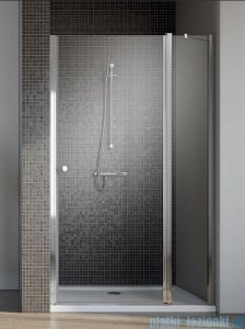 Radaway Eos II DWJ Drzwi prysznicowe 120x195 prawe szkło przejrzyste + brodzik Argos D + syfon 3799444-01R/4AD812-01