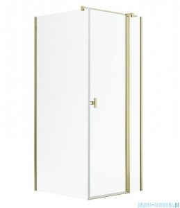 Radaway Nes Kdj II Gold kabina 80x70cm prawa złoty połysk 10032080-09-01R/10039070-01-01