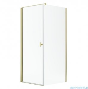 Radaway Nes Kdj I Gold kabina 90x70cm lewa złoty połysk 10022090-09-01L/10039070-01-01