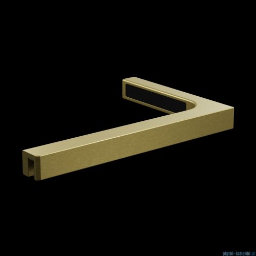 Radaway Modo New II Brushed Gold z wieszakiem kabina Walk-in 105x200 szczotkowane złoto 389105-99-01W