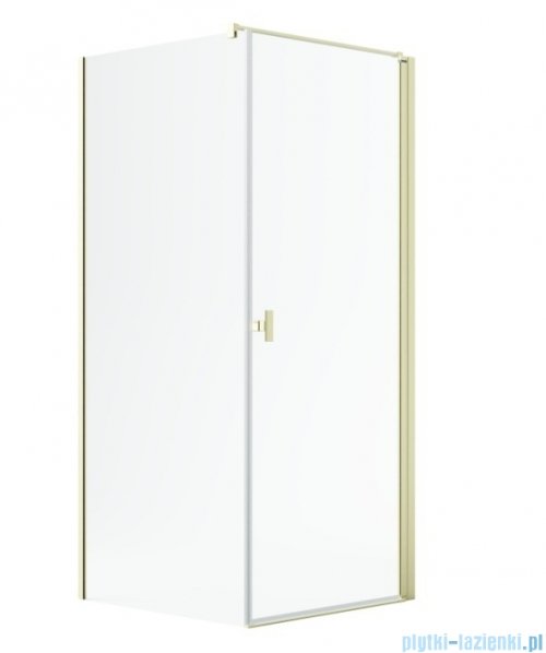 Radaway Nes 6 Kdj I Brushed Light Gold kabina 100x75cm prawa szczotkowane jasne złoto 10022100-98-01R/10039075-01-01