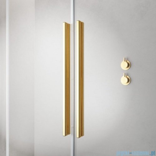Radaway Furo Gold DWD drzwi prysznicowe 160cm szkło przejrzyste 10108438-09-01/10111392-01-01