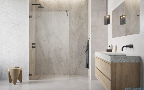 Radaway Essenza Pro Brushed GunMetal 65x200 kabina Walk-in szczotkowany grafit 10103065-92-01 
