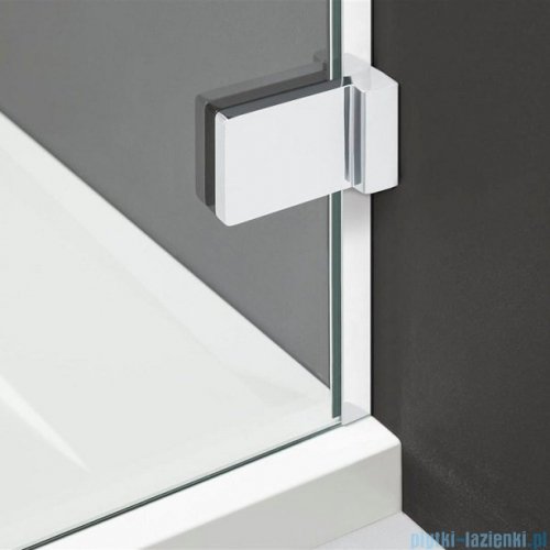 Radaway Euphoria Walk-in VI 110x100 szkło przejrzyste 383173-01-01/383152-01-01