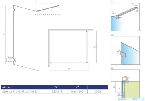 Radaway Essenza Pro Gold 55x200 kabina Walk-in złoty połysk/szkło przejrzyste 10103055-09-01