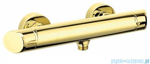 Deante Arnika Gold bateria prysznicowa bez zestawu prysznicowego złoty BQA Z40M