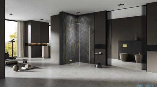 New Trendy Nesta Light Gold kabina 110x70x200 cm lewa wspornik równoległy złoty połysk/szkło przejrzyste K-4508