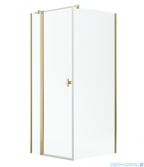 Radaway Nes Kdj II Gold kabina 100x80cm lewa złoty połysk 10032100-09-01L/10039080-01-01