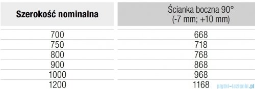 Ronal ANNEA ANT1 Ścianka wolnostojąca Walk-in 120x200 cm z profilem przyściennym nikiel szczotkowany ANT112002507