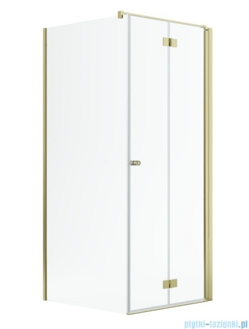 Radaway Nes Gold Kdj B kabina 100x90cm prawa złoty połysk 10025100-09-01R/10039090-01-01