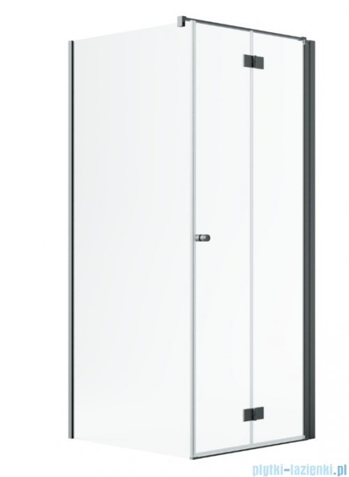 Radaway Nes Kdj B Brushed GunMetal kabina 100x100cm prawa szczotkowany grafit 10025100-92-01R/10039100-01-01