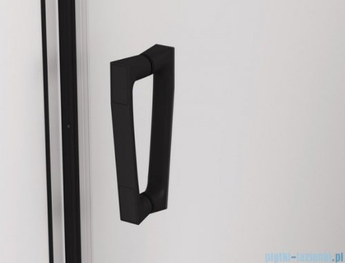 SanSwiss Cadura Black Line drzwi wahadłowe 120cm jednoczęściowe prawe z polem stałym czarny mat CA31CD1200607