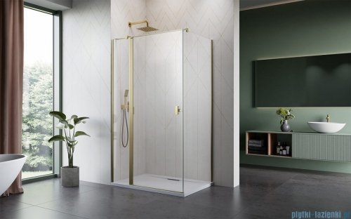 Radaway Nes Kdj II Brushed Gold kabina 120x100cm lewa szczotkowane złoto 10032120-99-01L/10039100-01-01 