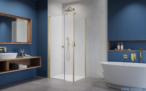 Radaway Nes Kds I Brushed Gold kabina 120x100cm lewa szczotkowane złoto 10023120-99-01L/10043100-99-01