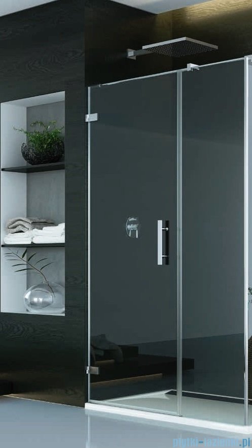 SanSwiss Pur PU31P Drzwi lewe wymiary specjalne do 160cm Durlux 200 PU31PGSM21022