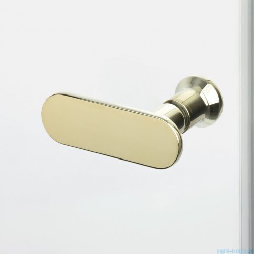 New Trendy New Soleo Light Gold 80x100x195 cm kabina lewa drzwi składane pojedyncze wspornik skośny złoty połysk/szkło przejrzyste K-1904