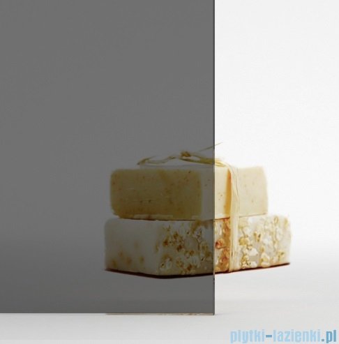 Radaway Nes Brushed Nickel DWSB drzwi wnękowe 110cm W2 prawe szczotkowany nikiel szkło przejrzyste 10044750-91-01R/10045350-01-01