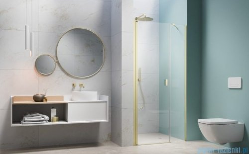 Radaway Nes Brushed Light Gold Dws Drzwi wnękowe 100cm lewe szczotkowane jasne złoto szkło przejrzyste 10028100-98-01L