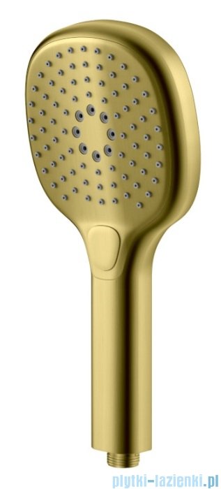 Kohlman Axel Brushed Gold bateria prysznicowo-wannowa podtynkowa z rączką prysznicową złoto szczotkowane QW260AGDB