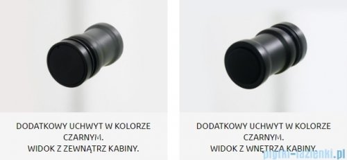 Radaway Nes Black KDD B kabina walk in 100cm lewa czarny mat/szkło przejrzyste 10024100-54-01L