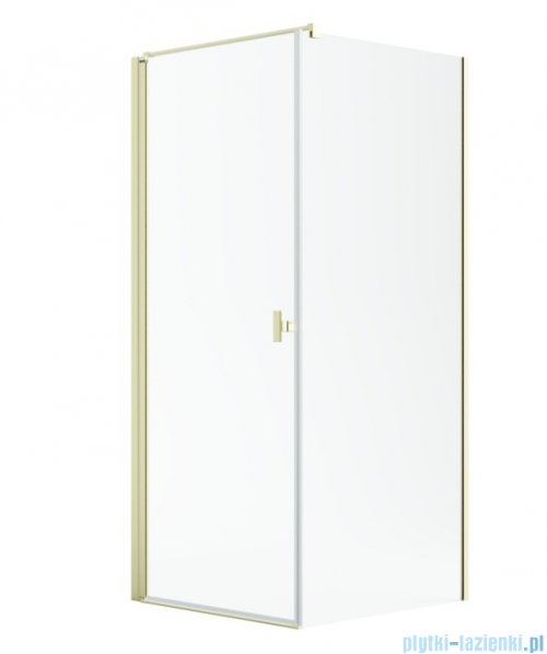 Radaway Nes 6 Kdj I Brushed Light Gold kabina 100x75cm lewa szczotkowane jasne złoto 10022100-98-01L/10039075-01-01