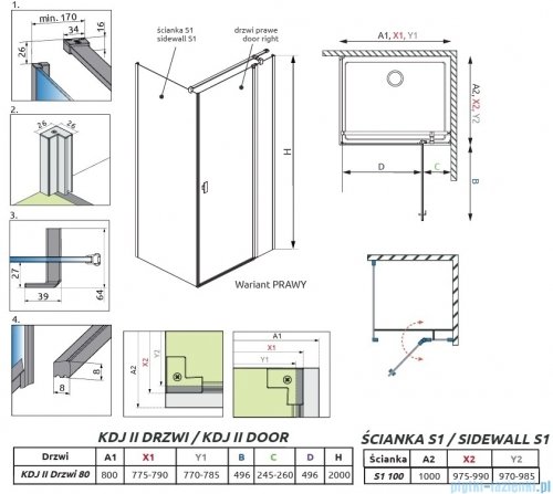 Radaway Nes 6 Kdj II Brushed Light Gold kabina 80x100cm prawa szczotkowane jasne złoto 10032080-98-01R/10039100-01-01