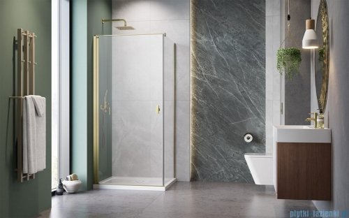 Radaway Nes Kdj I Brushed Gold kabina 90x100cm lewa szczotkowane złoto 10022090-99-01L/10039100-01-01