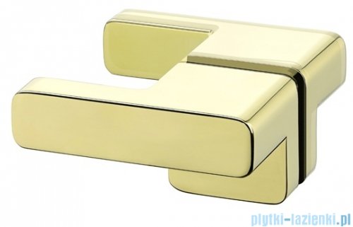 New Trendy Eventa Gold Shine drzwi wnękowe pojedyncze z dodatkową ścianką 170x200 cm przejrzyste lewe Złoty połysk EXK-4687