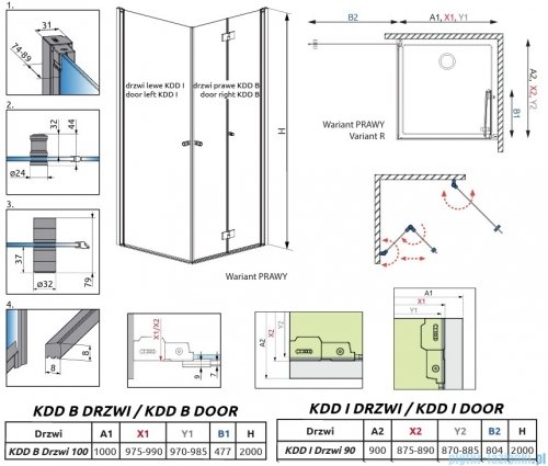 Radaway Nes Gold KDD B / KDD I kabina 100x90cm prawa złoty połysk przejrzyste 10024100-09-01R/10015090-09-01L