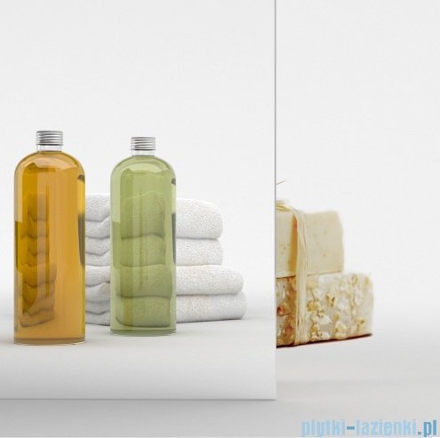 Radaway Modo SL II Brushed Light Gold kabina Walk-in 110x200 lewa szczotkowane jasne złoto szkło przejrzyste 10319114-98-01L