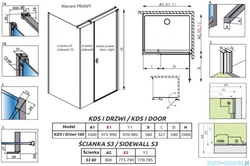 Radaway Nes 6 Kds I Brushed Light Gold kabina 100x80cm prawa szczotkowane jasne złoto 10023100-98-01R/10043080-98-01