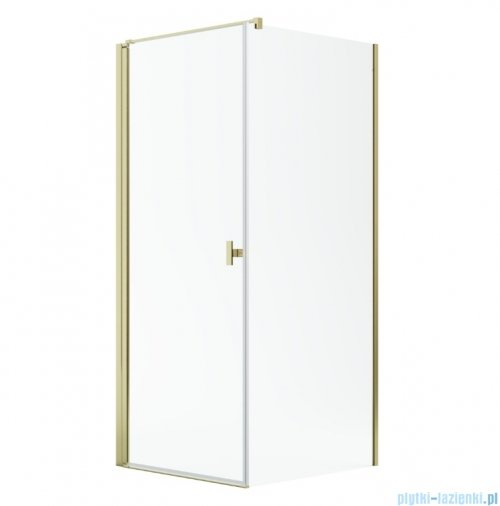 Radaway Nes Kdj I Gold kabina 100x75cm lewa złoty połysk 10022100-09-01L/10039075-01-01