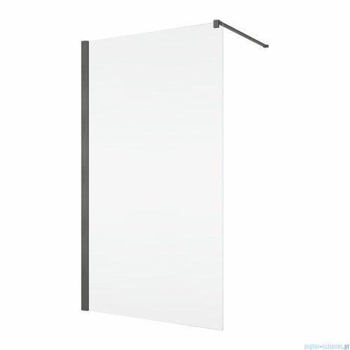 Ronal ANNEA ANT1 Gunmetal Szczotkowany Ścianka wolnostojąca Walk-in 75x200 cm z profilem przyściennym grafit szczotkowany ANT107502607