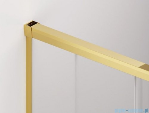 SanSwiss Cadura Gold Line drzwi przesuwne 90cm jednoskrzydłowe prawe z polem stałym CAE2D0901207