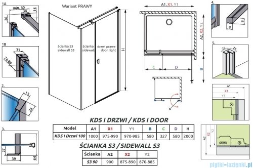 Radaway Nes 6 Kds I Brushed Light Gold kabina 100x90cm prawa szczotkowane jasne złoto 10023100-98-01R/10043090-98-01