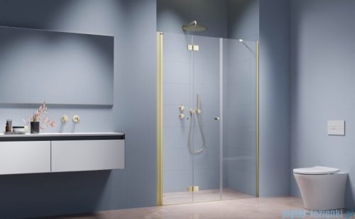 Radaway Nes Brushed Light Gold DWSB Drzwi wnękowe 110cm W2  lewe szczotkowane jasne złoto szkło przejrzyste 10044750-98-01L/10045350-01-01