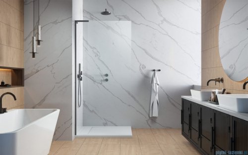 Radaway Modo SL II Brushed GunMetal kabina Walk-in 65x200 lewa szczotkowany grafit 10319065-92-01L