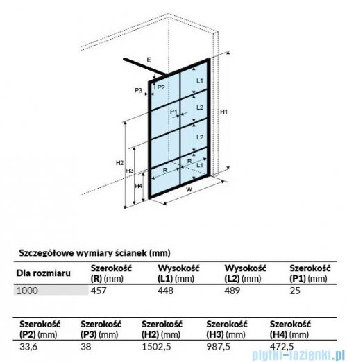 Excellent Fabrika ścianka Walk In czarny mat 100x200 cm KAEX.4006.1000.LP