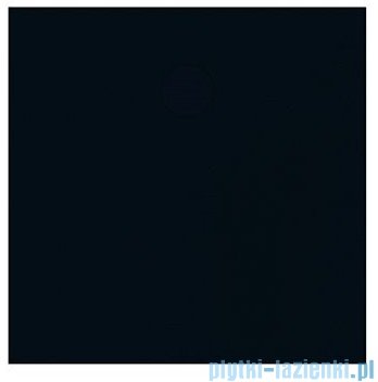 Sanplast Structure Mineral B-M/STRUCTURE brodzik kwadratowy 100x100x1,5 cm mat czerni 645-360-0040-59-010