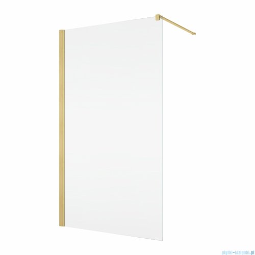 Ronal ANNEA ANT1 Ścianka wolnostojąca Walk-in 75x200 cm z profilem przyściennym złoto szczotkowane ANT107501307