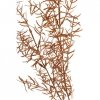 Roślina sztuczna - asparagus copper Aluro