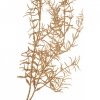 Roślina sztuczna - asparagus gold Aluro