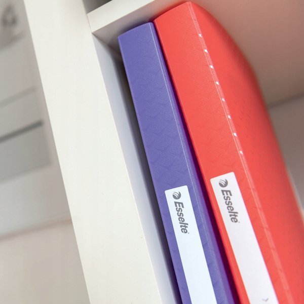 Album ofertowy Esselte Colour`Breeze z 80 koszulkami koralowy 628445