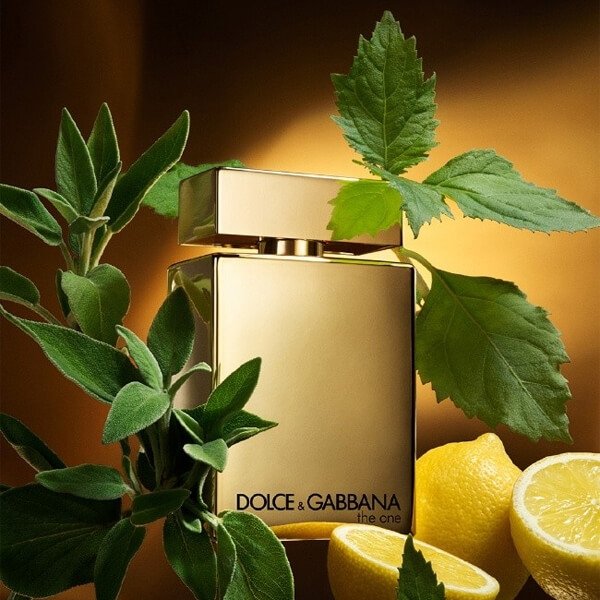 Dolce &amp; Gabbana The One Gold pour Homme Eau de Parfum Intense