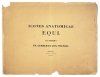 GERBER Friedrich, VOLMAR Joseph - Anatomischer atlas des Pferdes. Hsrg.